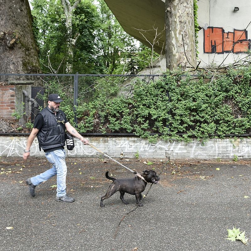 Walking with my dog (24).JPG